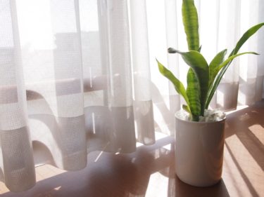 【実は知らない？】レースカーテンのおすすめ機能8選【そんなにあるの？】